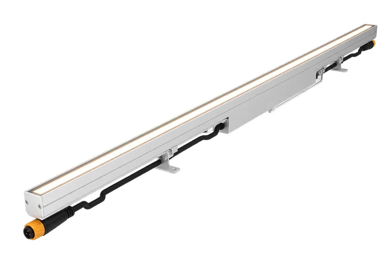 BXG product 1