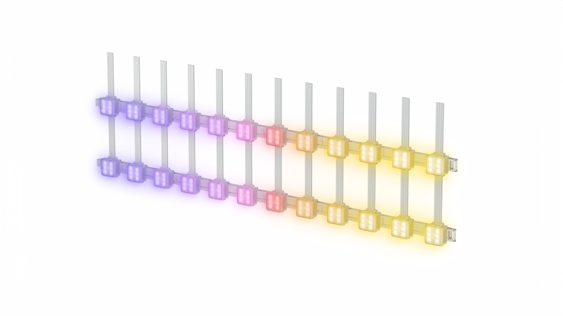 FXM product 1